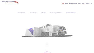 Thumbnail of transinsurancespzoo.com