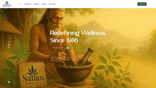Thumbnail of sananindia.com