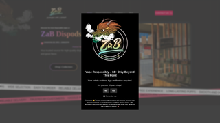 Thumbnail of zabdispods.com