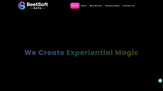 Thumbnail of beetsoft.org