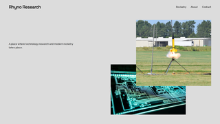 Thumbnail of rhynoresearch.com