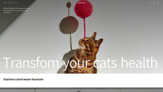 Thumbnail of steelstrm.com