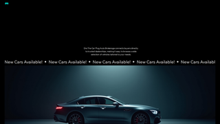 Thumbnail of drethecarplug.com
