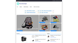 Thumbnail of productadvisorinsight.com
