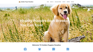 website thumbnail