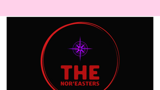 Thumbnail of thenoreasters.com