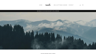 Thumbnail of wellviaofficial.com