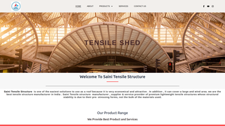 Thumbnail of sainitensile.com