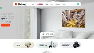 Thumbnail of picsavy.com
