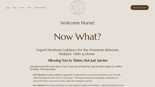 Thumbnail of swaddlebloom.com