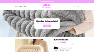 Thumbnail of getbunnyblanket.com