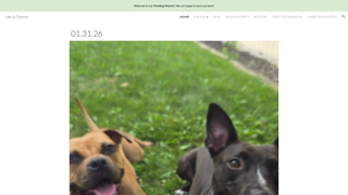 Thumbnail of jakeandchelseakujala.com