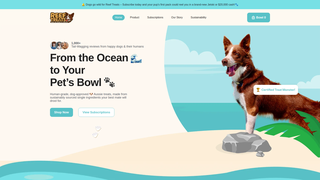 Thumbnail of reeftreats.com