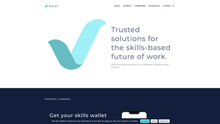 Thumbnail of scilsy.com
