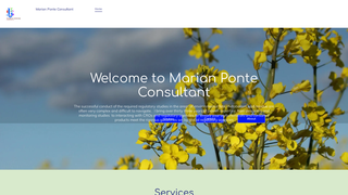 Thumbnail of marianponteconsultantllc.com