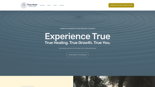 Thumbnail of truehumcounseling.com