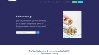 Thumbnail of bitdrivegroup.com