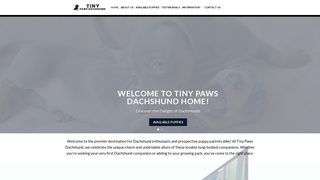 Thumbnail of tinypawsdachshund.com