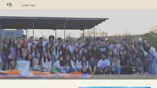 Thumbnail of uabvsa.com