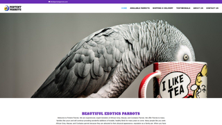 Thumbnail of portentparrots.com