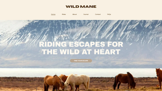 Thumbnail of wildmanetravel.com