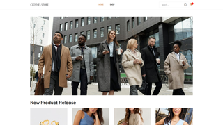 Thumbnail of chushanllc.com