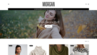 Thumbnail of morgan-boston.com