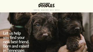 Thumbnail of mayflowerdoodles.com