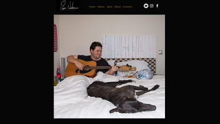 Thumbnail of piersnolan.com