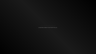 Thumbnail of salimworks.com