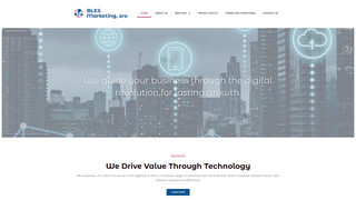 Thumbnail of blesmarketing.com