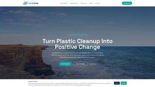 Screenshot of nurdleturtle.com