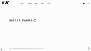 Thumbnail of nurnext.com