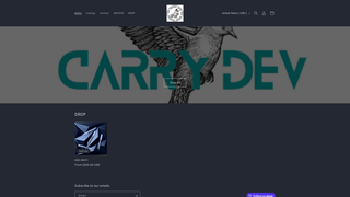 Thumbnail of carrydev.com