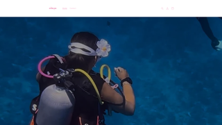 Thumbnail of divewithlaurakw.com