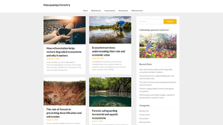 Thumbnail of hassayampa-forestry.com