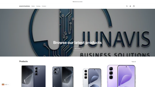 Thumbnail of junavisbusiness.com