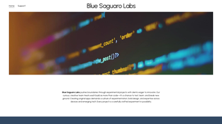 Thumbnail of bluesaguarolabs.com