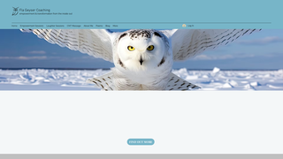 Thumbnail of flageyser.com