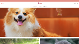 Thumbnail of trdyx.com