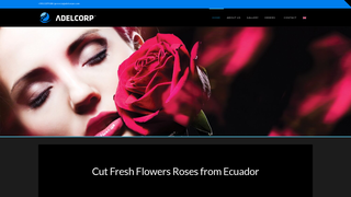 Thumbnail of adelcorpec.com
