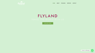 Thumbnail of dmcflyland.com