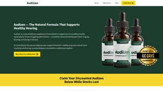 Thumbnail of com-audizen.com