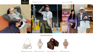 Thumbnail of znkesf.com