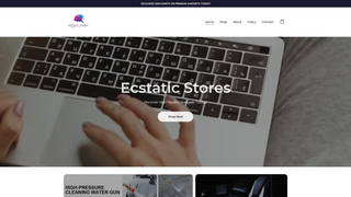 Thumbnail of ecstaticstores.com