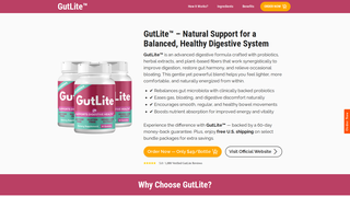 Thumbnail of en-us-en-gutlite.com