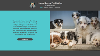 Thumbnail of houndtownepetsitting.com