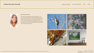 Thumbnail of dp-artwork.com