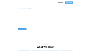Screenshot of expertprocleaningwashing.com