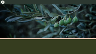 Thumbnail of larissaolive.com